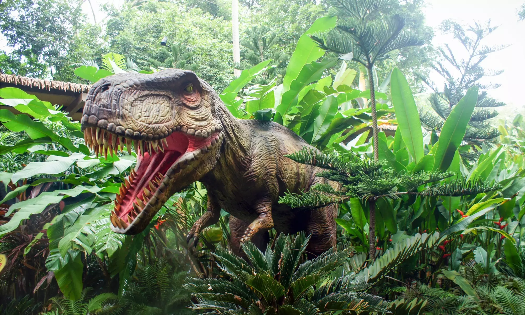 Exposition immersive à La Cadière-d'Azur : découvrez Dinosaurs World