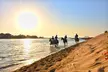 Horseback Riding by the Beach for Up to Four at Sanam Stable (Up to 31% Off) - Image 3