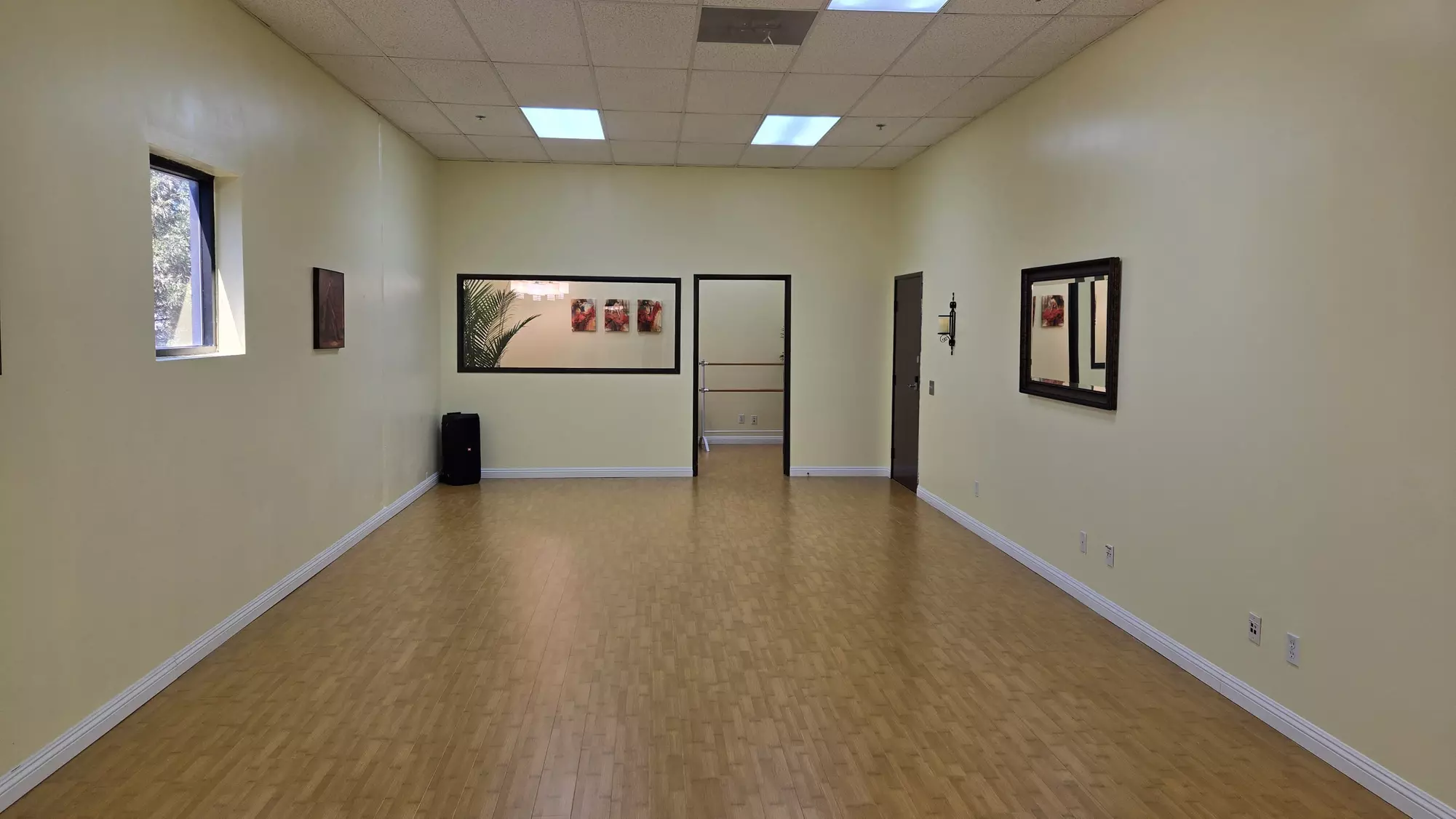 Learn Ballroom and Latin Styles in One Private Session