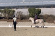 Up to 35% Off on Horse Back Riding - Recreational at Far View Farms Equestrian Center - Second Medium