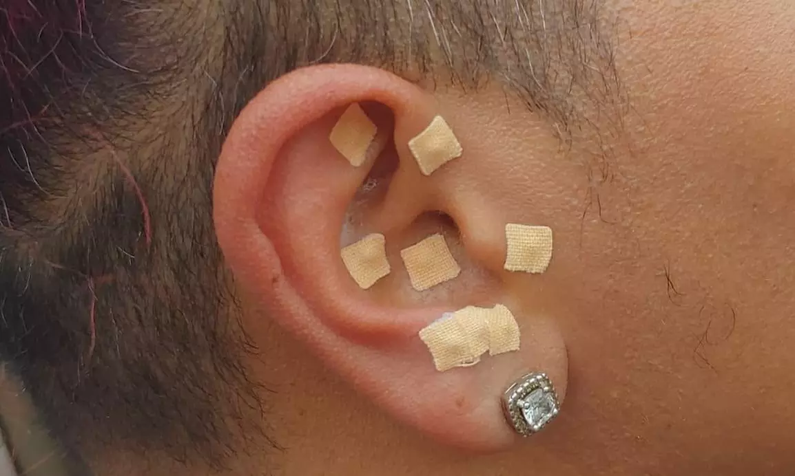 Discover relaxation with Rooted Vibrationz LLC's Earseed Sessions offering up to 40% off, promoting balance and comfort. - Primary Image