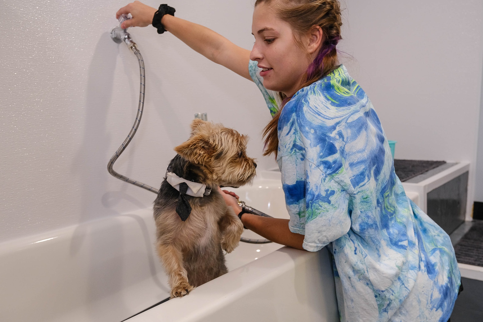 Enjoy DIY Pet Spa Sessions with Self-Service Washing