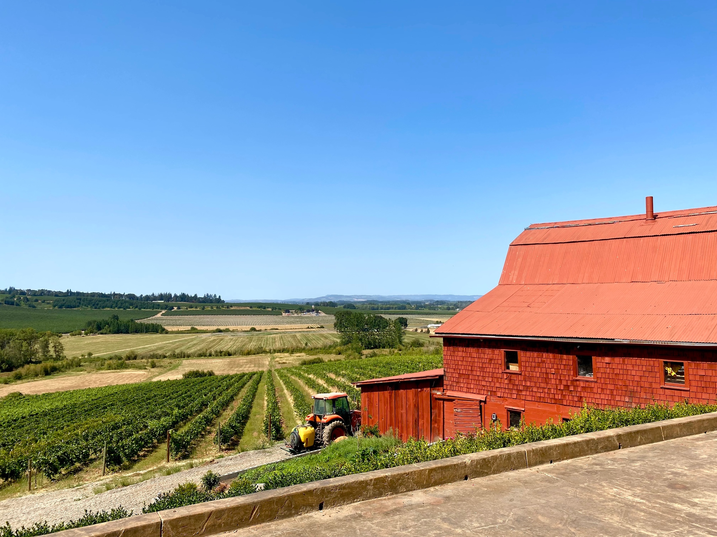 Wine-tasting experiences for two or four with beautiful views