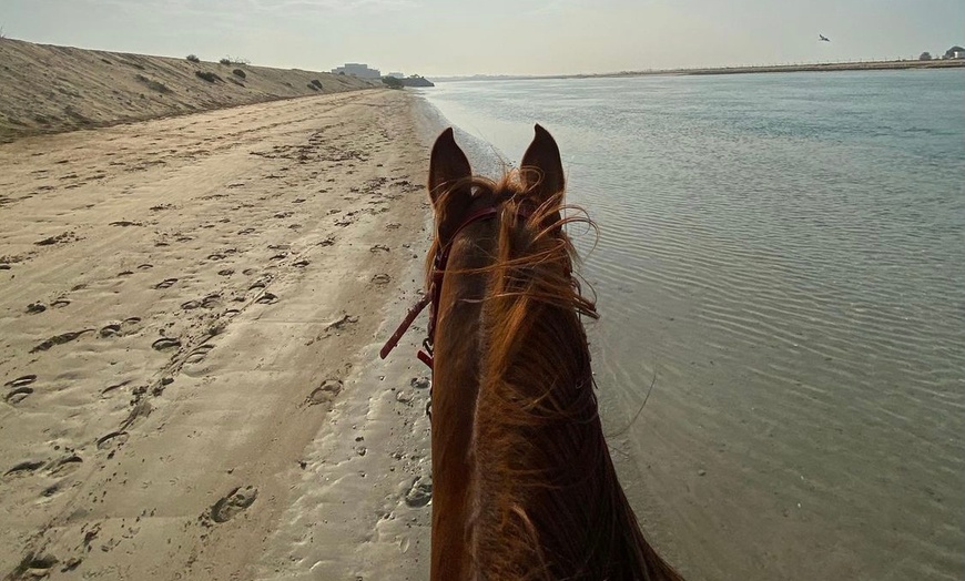 Image 2: Horseback Riding by the Beach