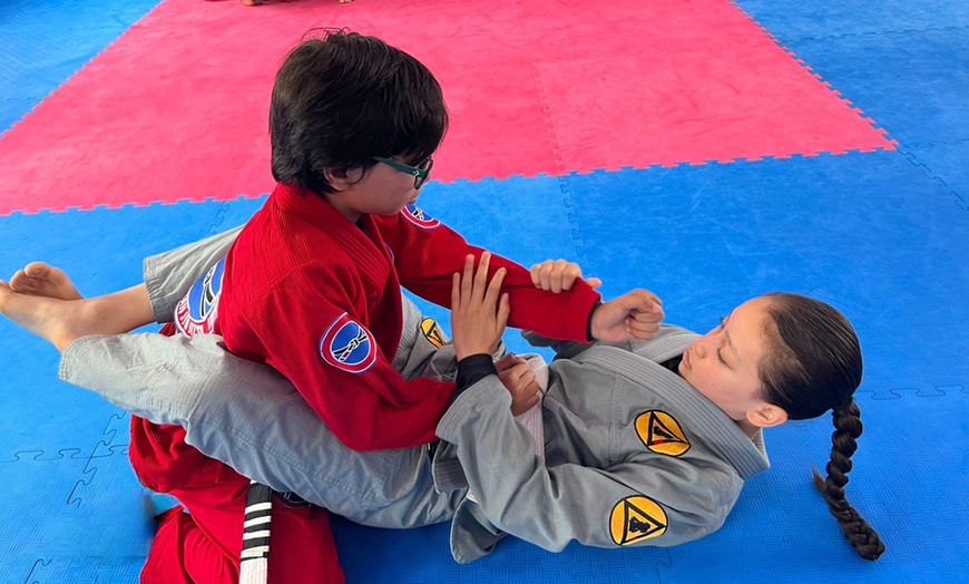 Image 8: Brazilian Jiu Jitsu & Taekwondo Trial Classes 