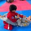Image 8: Brazilian Jiu Jitsu & Taekwondo Trial Classes 