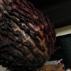 Image 2: Get the Perfect Look: Large, Medium Knotless Braids or Retwist Combo