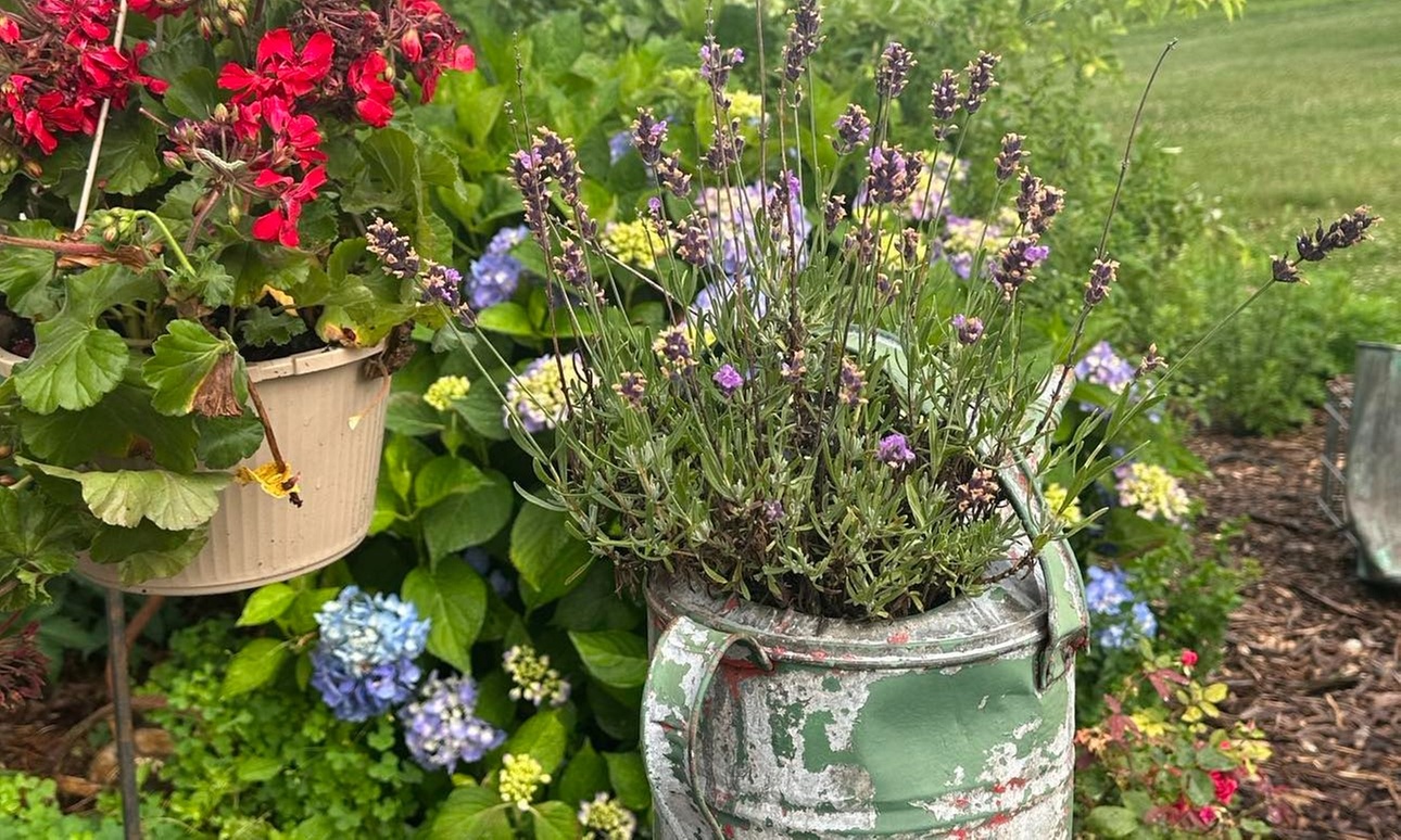 Up to 62% Off on Guided Walking Tour at CT Hemp