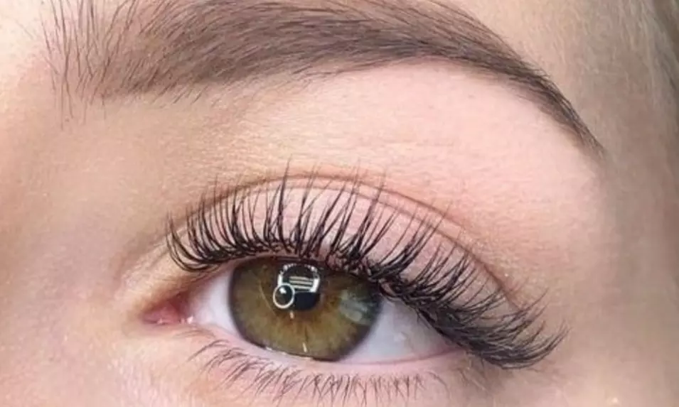 Enhance your eyes at Lebanon Merle Norman Boutique & Spa with options like Classic or Hybrid Eyelash Extensions up to 32% off - Primary Image