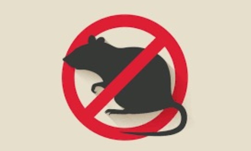 Image 1: Effective Rodent Control & Extermination in LA & Orange County!