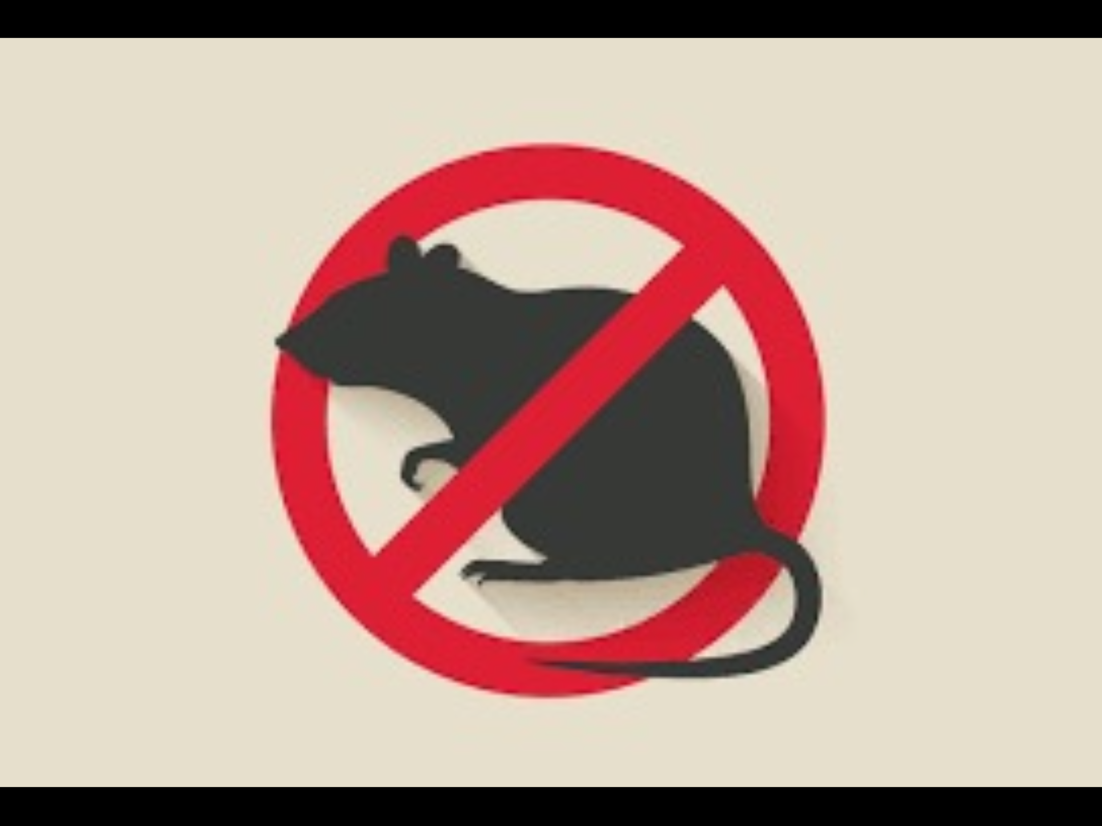 Impressive Exterminating: Eco-Friendly Rodent Control & Extermination Services in LA & OC (Up To 64% Off) - Primary Image