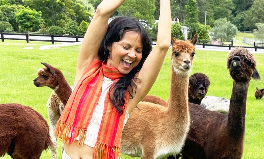 Image 1: Alpaca Yoga Adventure: Relax, Unwind, and Connect with Nature!