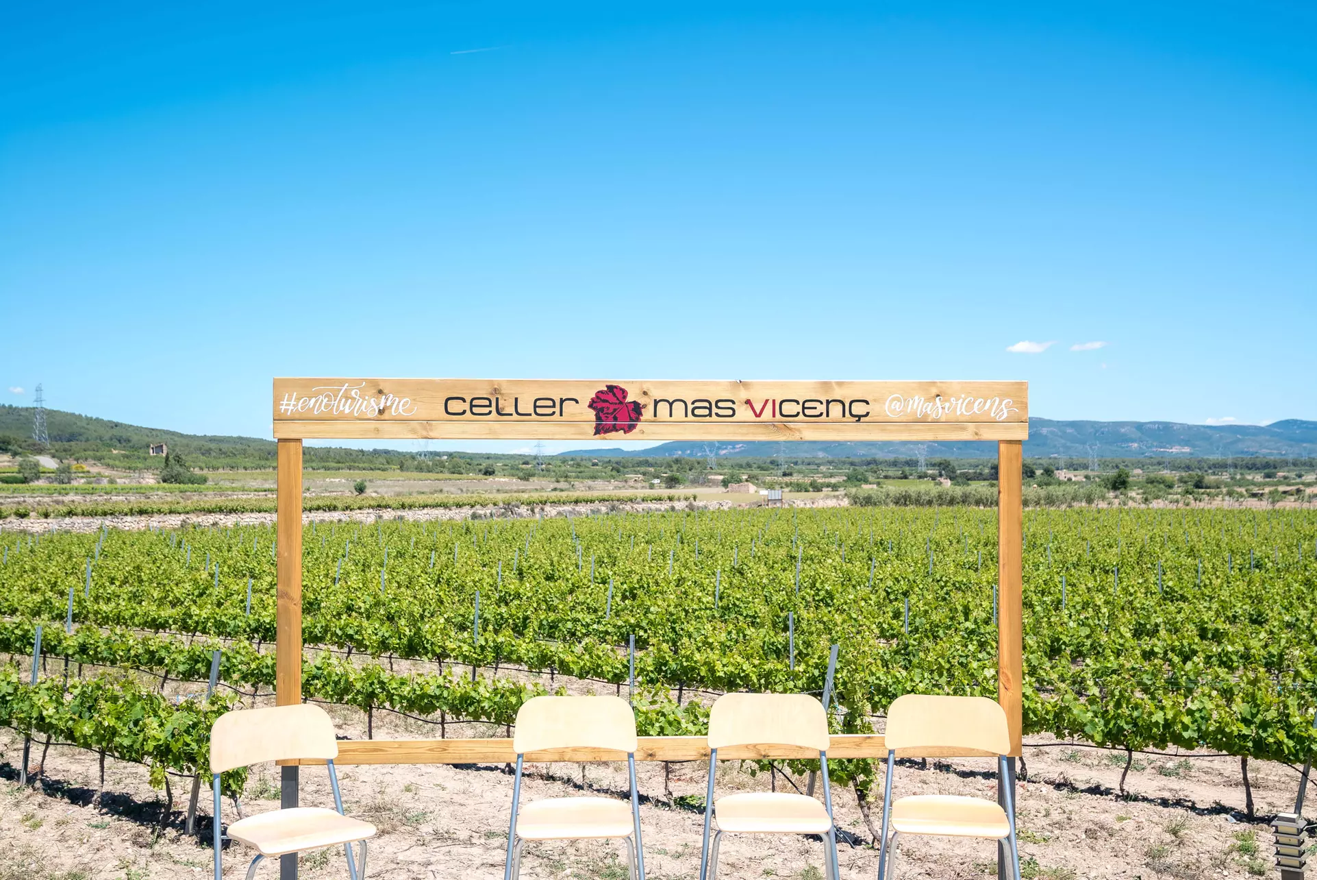 Until50%discount in Restaurant specialties - Wine tasting