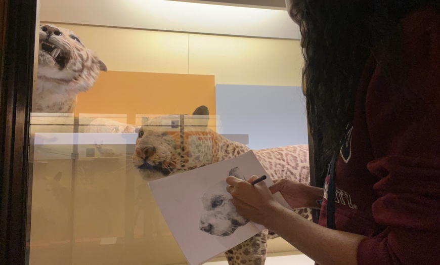 Image 3: Explore Your Creative Skills w/ Sketching at The Museum for One or Two