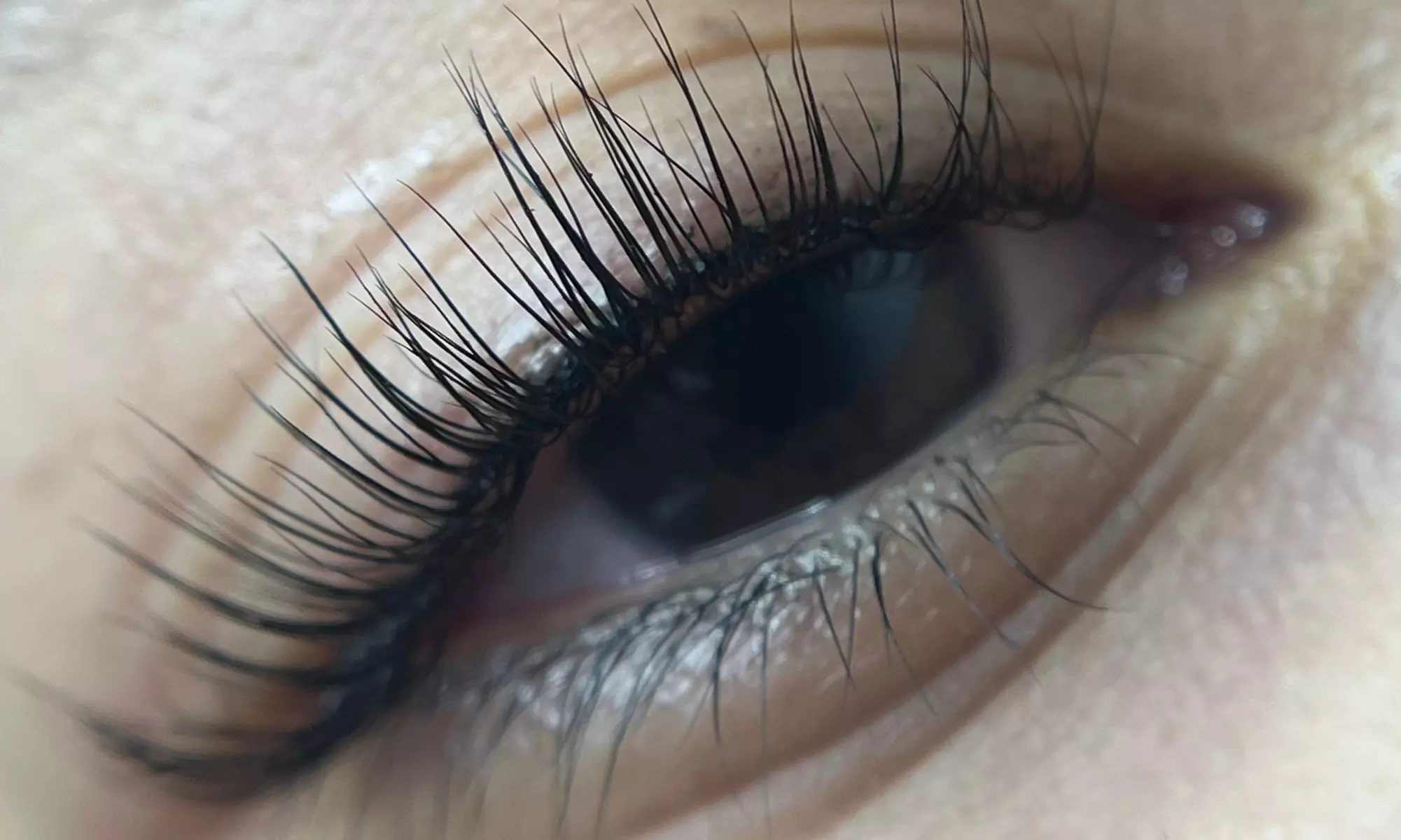 Enhance Your Lashes with a Lift or Tint Treatment