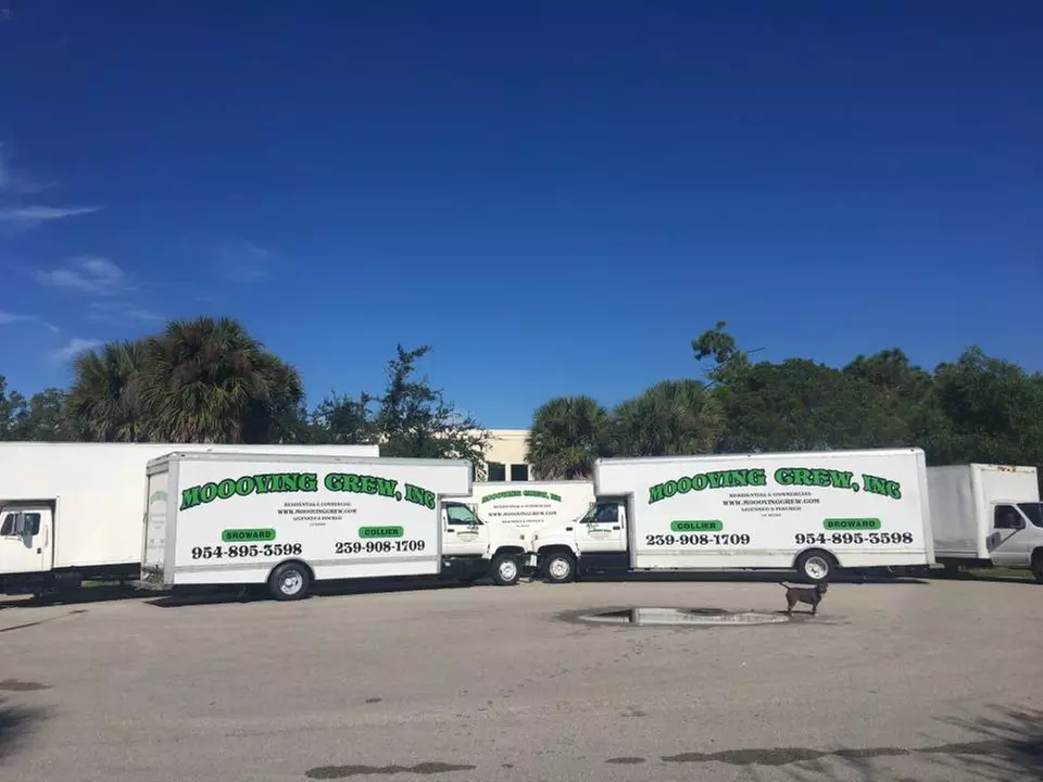 Up to 50% Off on Moving Services at Moooving Crew, Inc - Second Medium