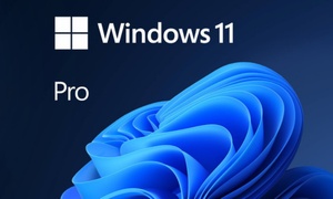 Up to 88% Off on Microsoft Windows 11 Professional