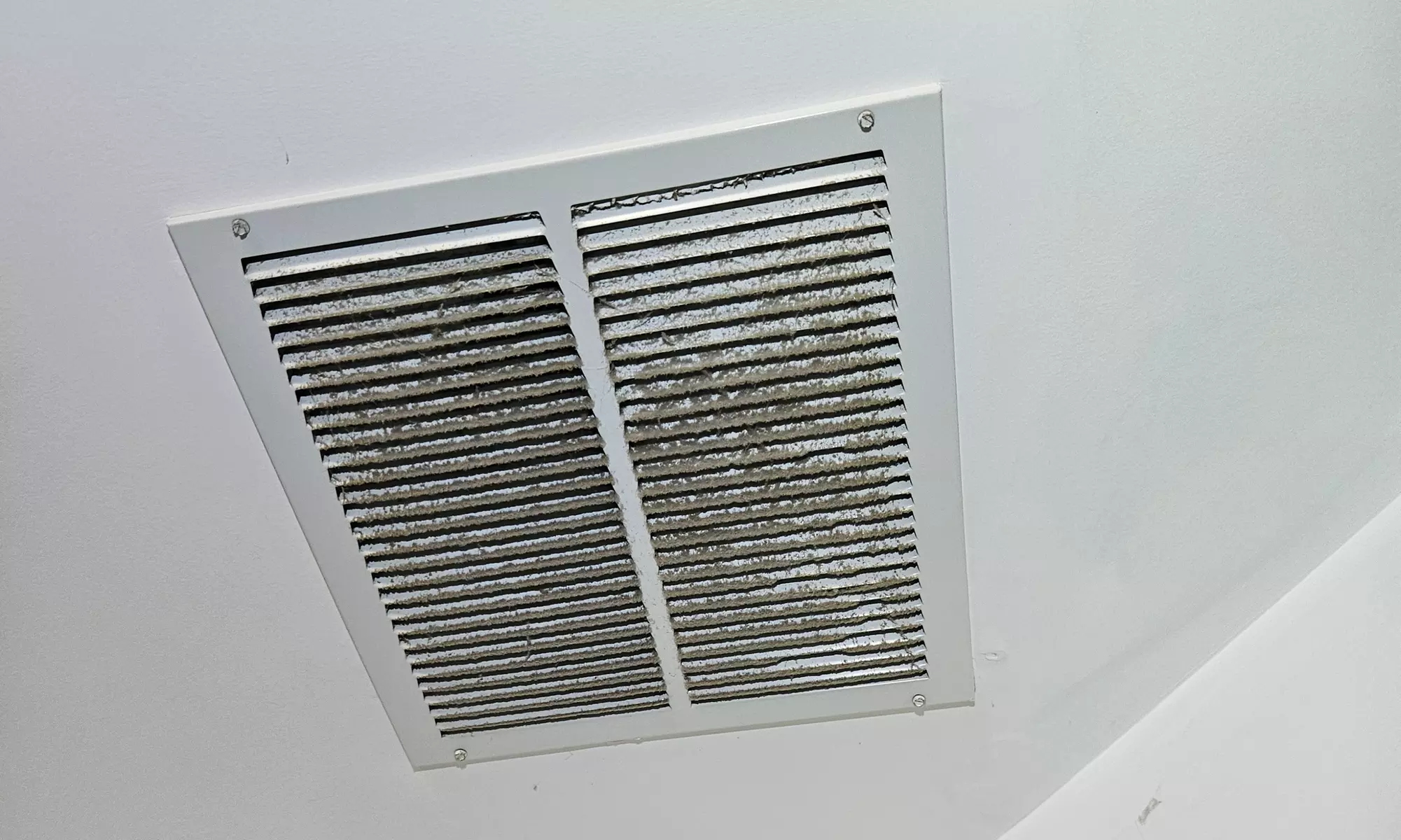 Chimney Cleaning, Inspection, Dryer Vent Cleaning Package, and More