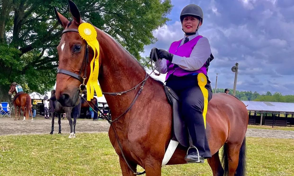 Up to 35% Off on Horse Back Riding at Bay View Stables - Primary Image