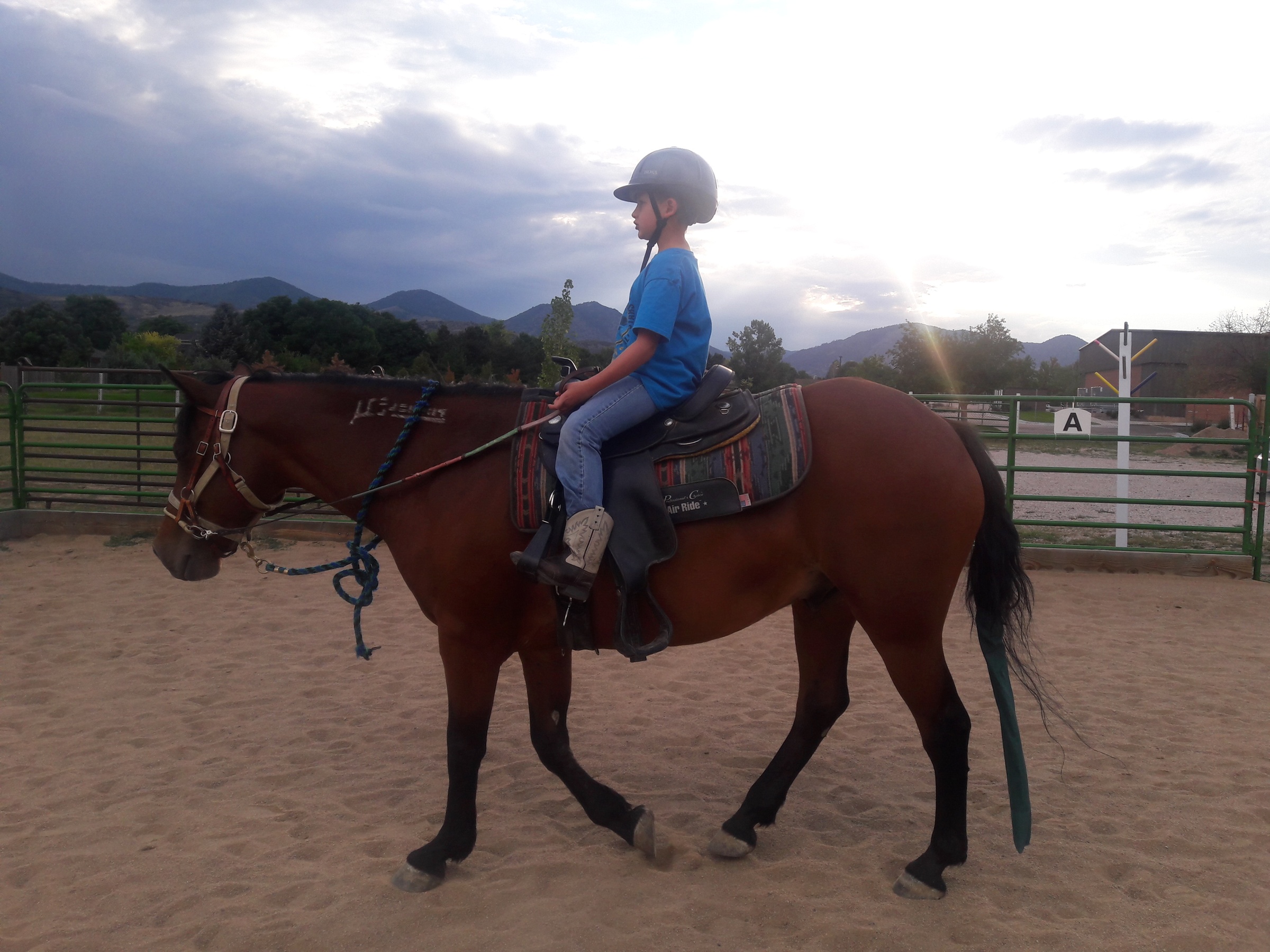 Up to 36% Off on Horse Back Riding at Wild Hearts Horsemanship Llc