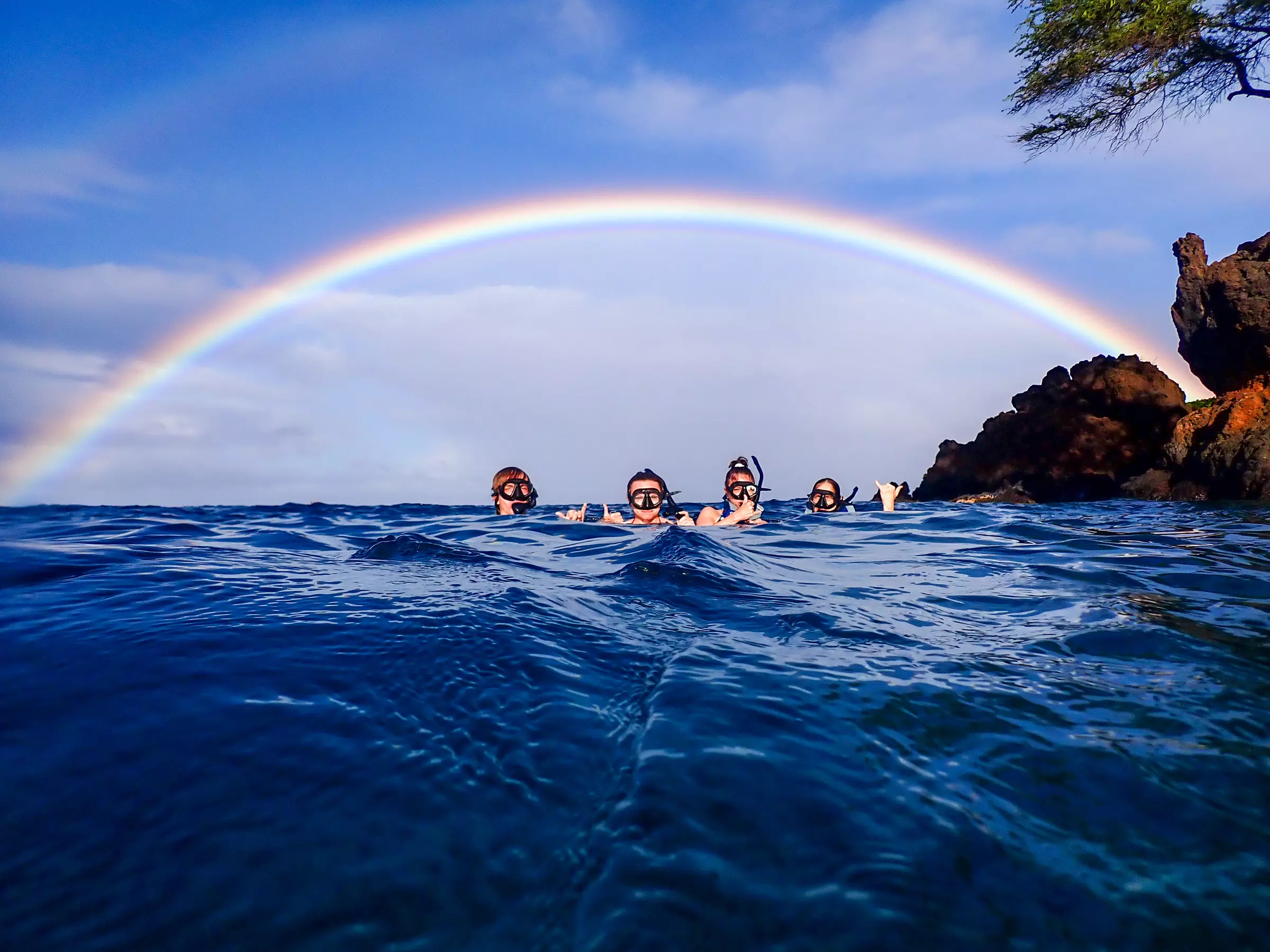 Clear Kayak & Snorkel Tour at Turtle Town, Maui