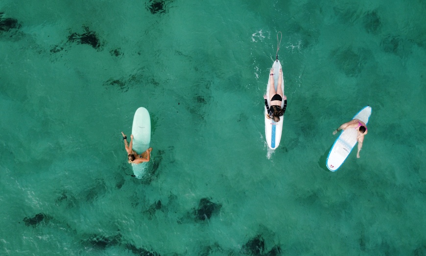 Surfing Lessons - Dahlia Surf & Wellness | Groupon