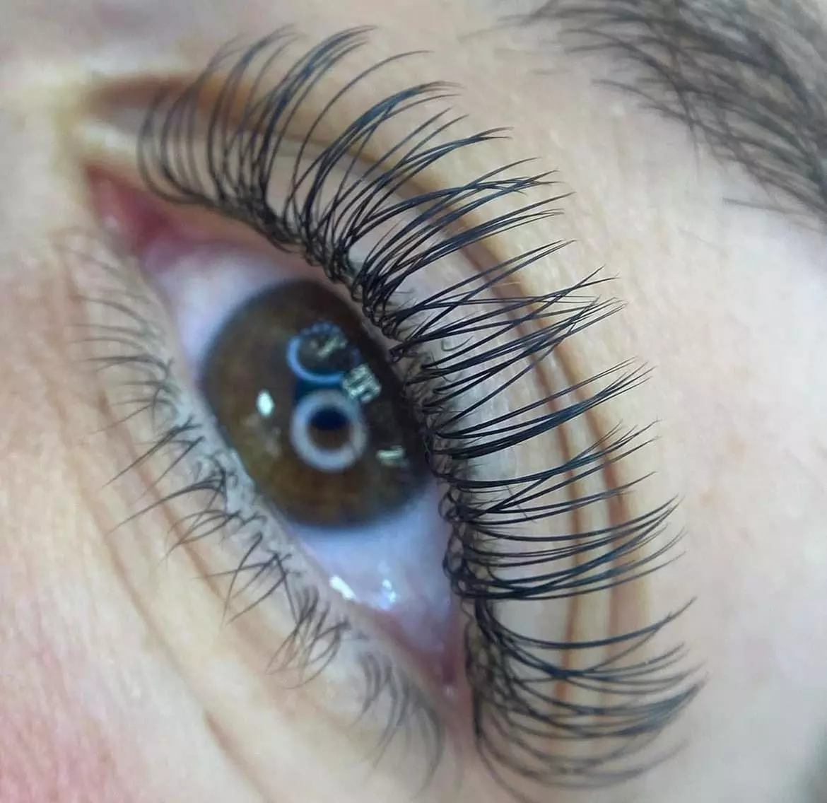 Up to 37% Off on Eyelash Extensions at Amimarluxe