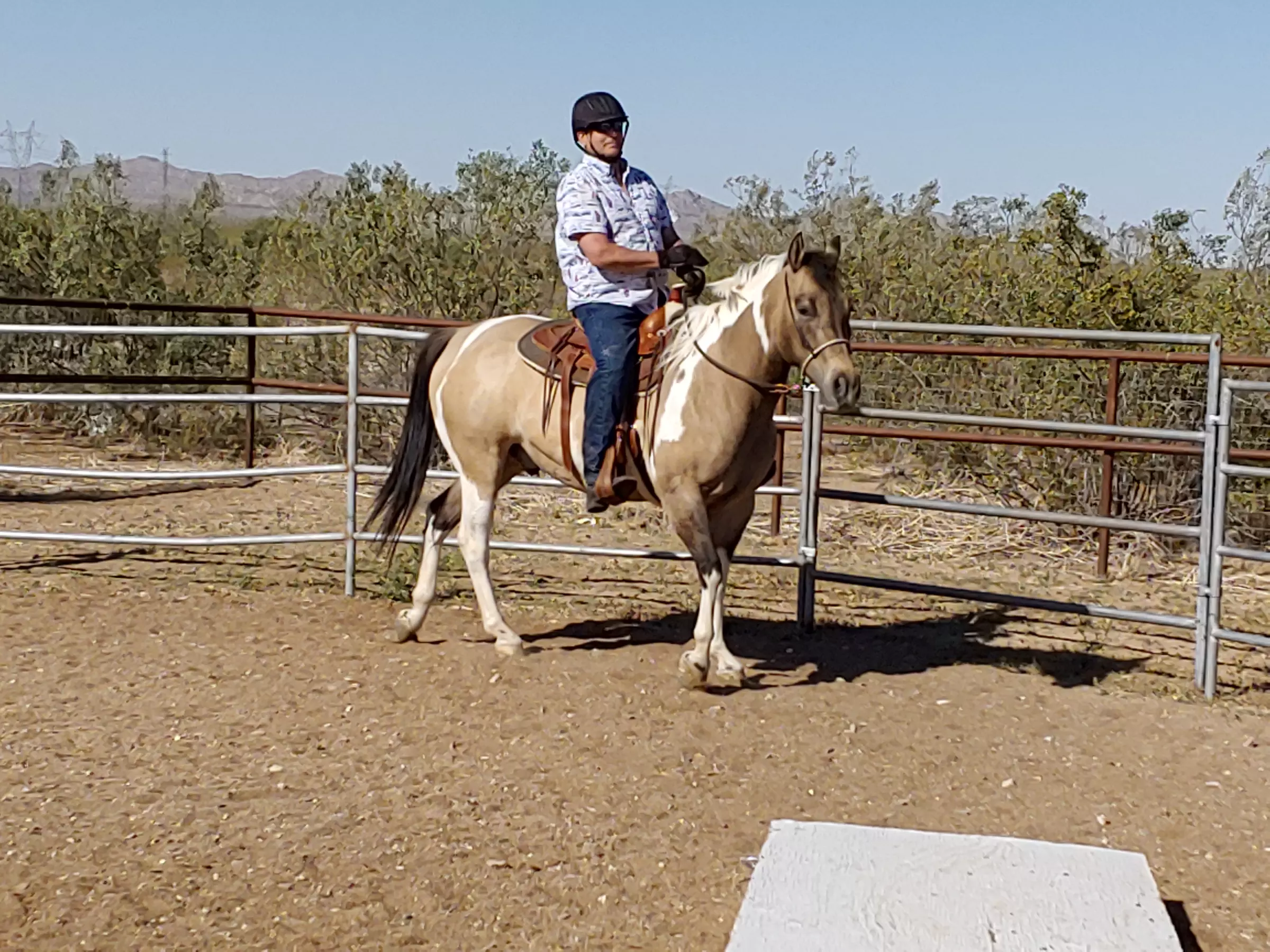 Up to 35% Off on Horse Back Riding - Recreational at Colors of the Desert Horse Ranch - Primary Image