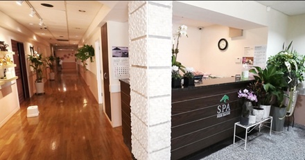 60 Minute Massage for One - Four Seasons 7