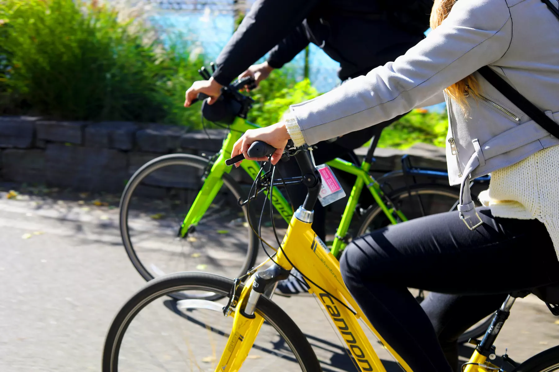 Bike Rental from Must See Central Park