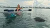 Up to 12% Off on Kayaking at Watersports Now LLC
