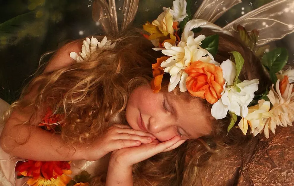 Up to 71% Off on Custom Photo Gift at fairyportraitstudios