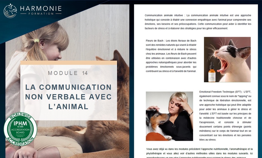 Image 5: Practicien(ne) en naturopathie animalière avec Harmonie Formation
