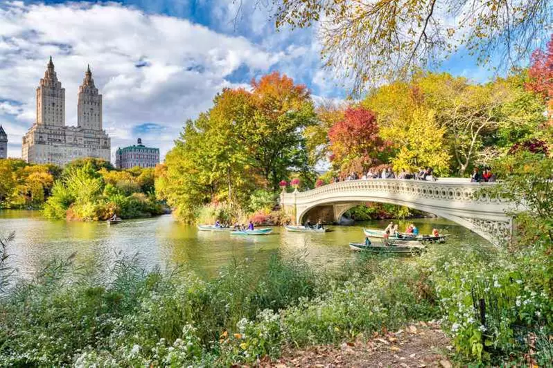 Explore Central Park with Pedicab Tours for Up to Three People