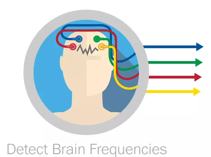 Up to 91% Off Personal Brain Index and Individualized Report