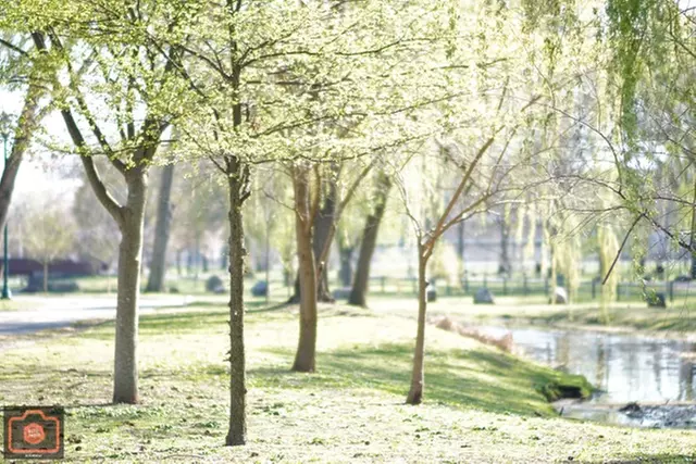 Up to 28% Off on Seasonal Photography at Blitz Photo - Primary Image