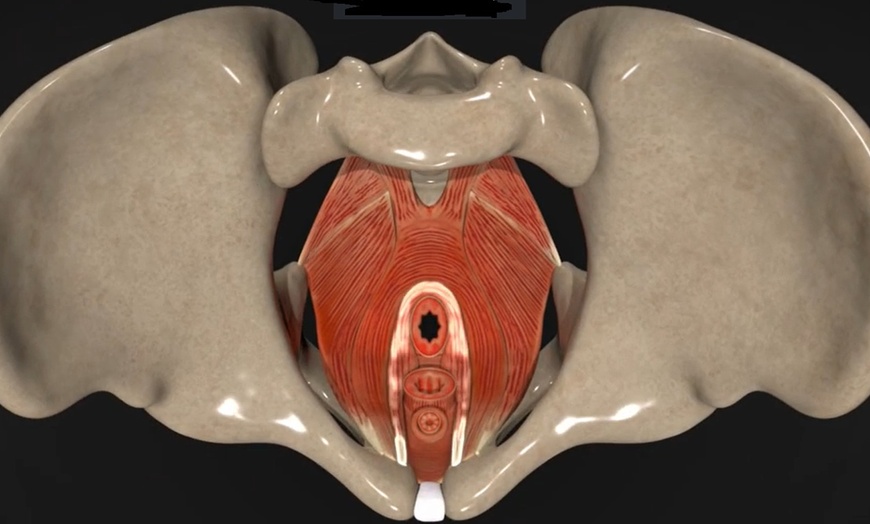 Image 4: Advanced Men’s Pelvic Floor Therapy for Pelvic Pain & Problems