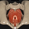 Image 4: Advanced Men’s Pelvic Floor Therapy for Pelvic Pain & Problems