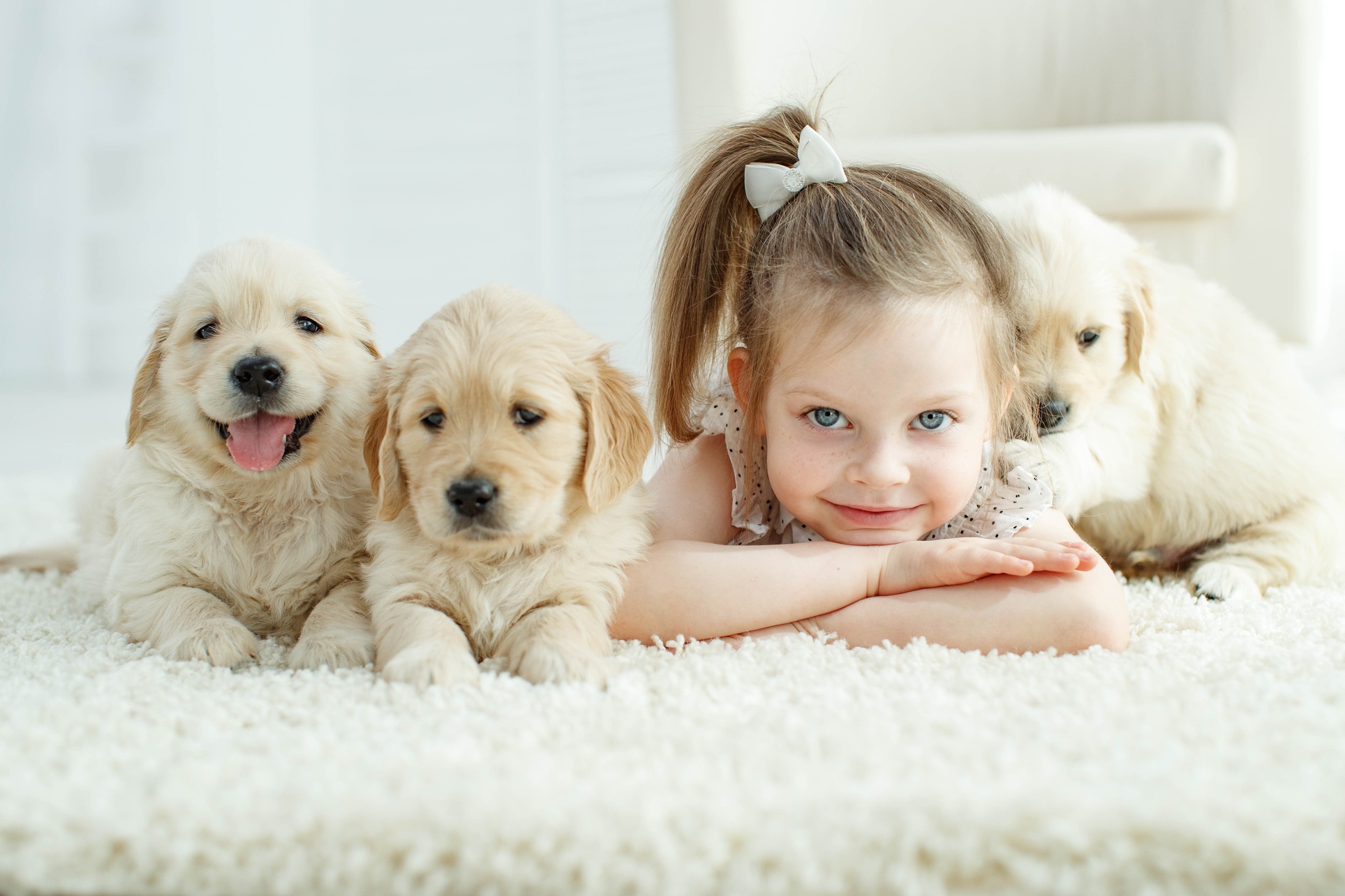 Choose Expert 3 Room or Whole House Carpet Cleaning