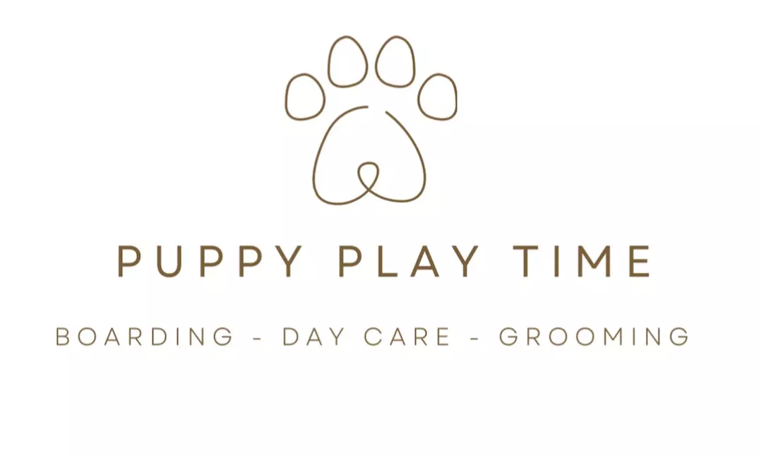 Up to 90% Off on Pet Daycare at Puppy PlayTime Inc - Primary Image