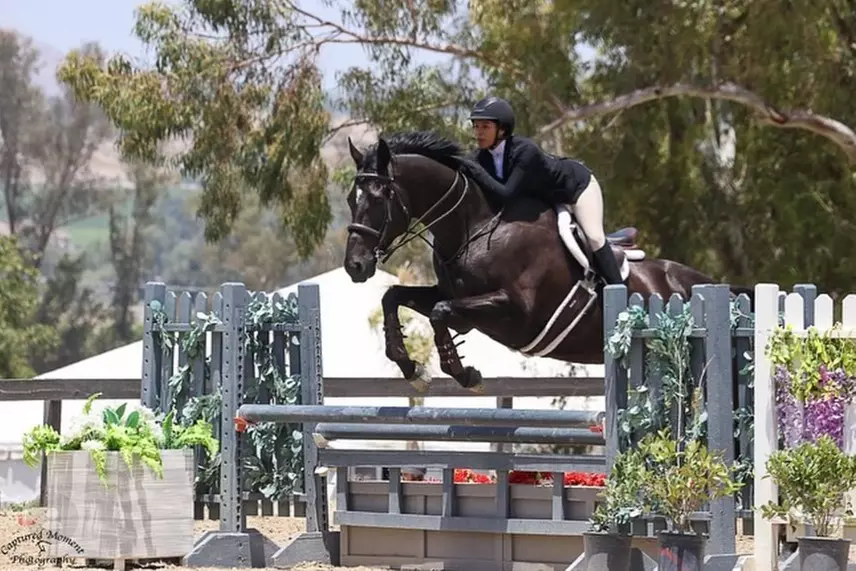 Private English Riding Lessons – 45 Minutes