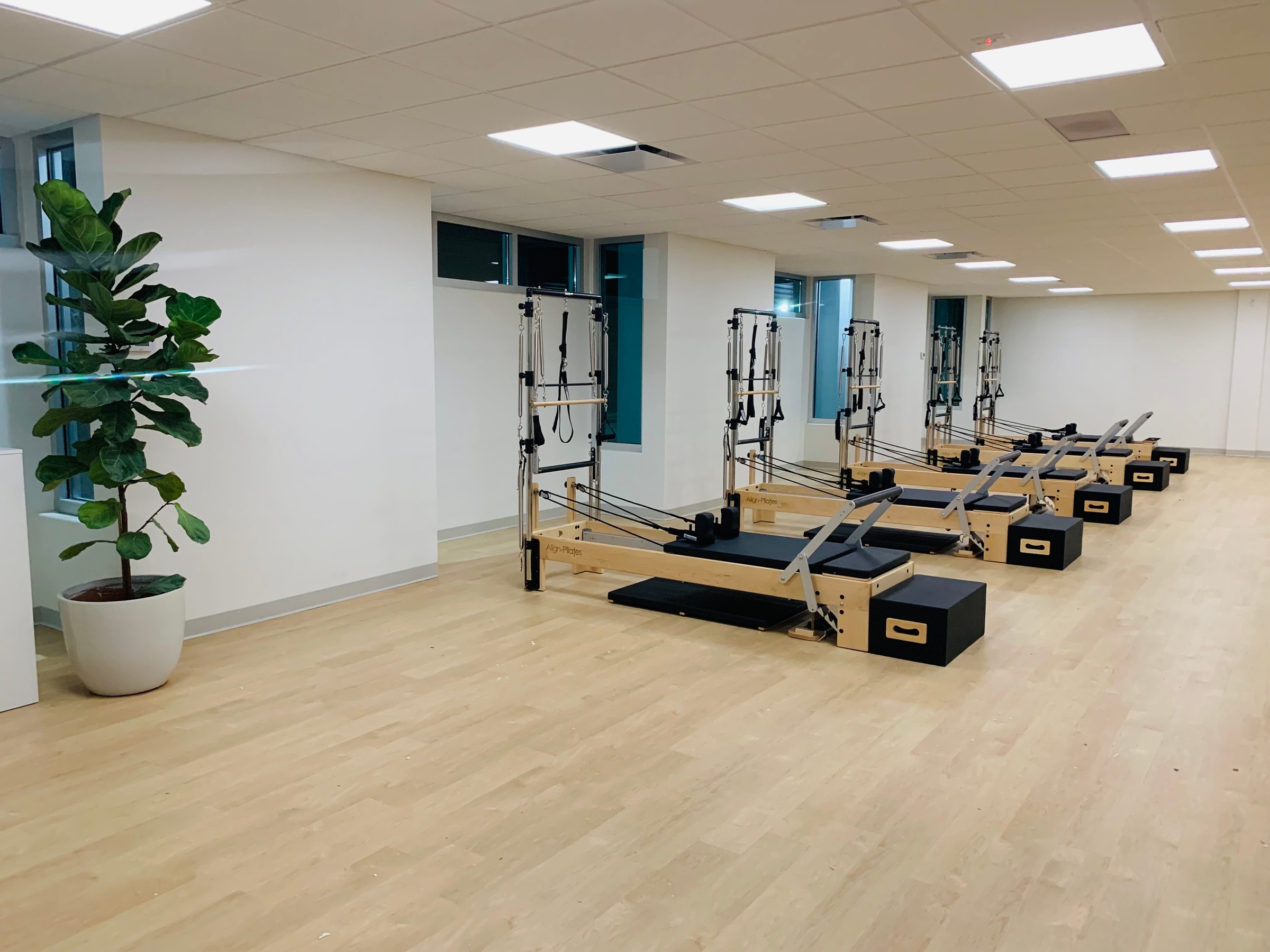 Up to 50% Off on Pilates at The Pilates Haus