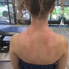 Image 2: Consultation, Examination & a Adjustment with Expert-Led Sessions