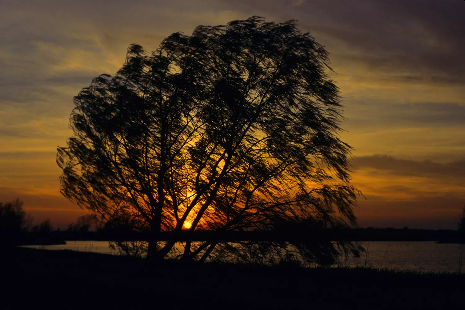 Up to 54% Off on Photography Class at School of Photography