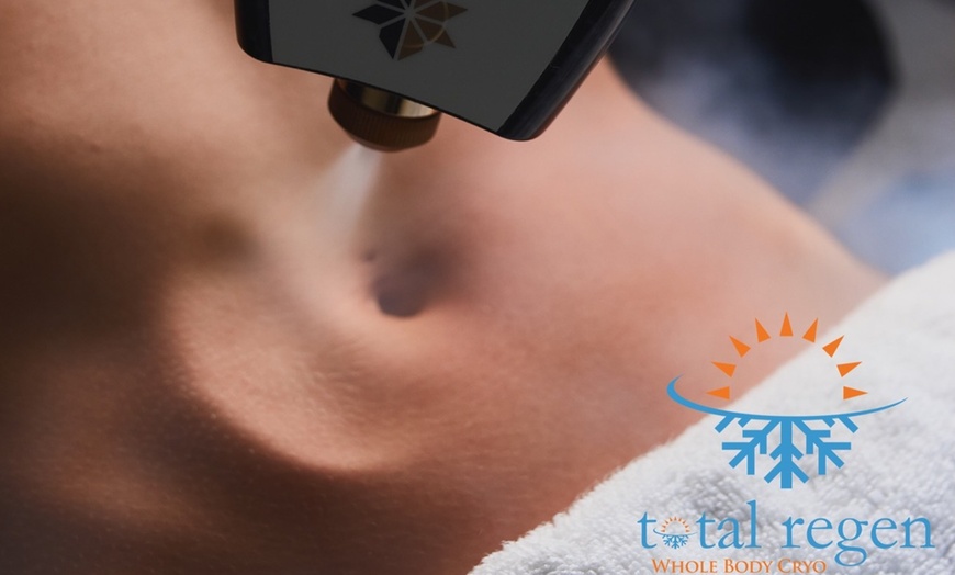 Image 2: Sculpt Your Dream Body with One Session of Cryo Sculpting