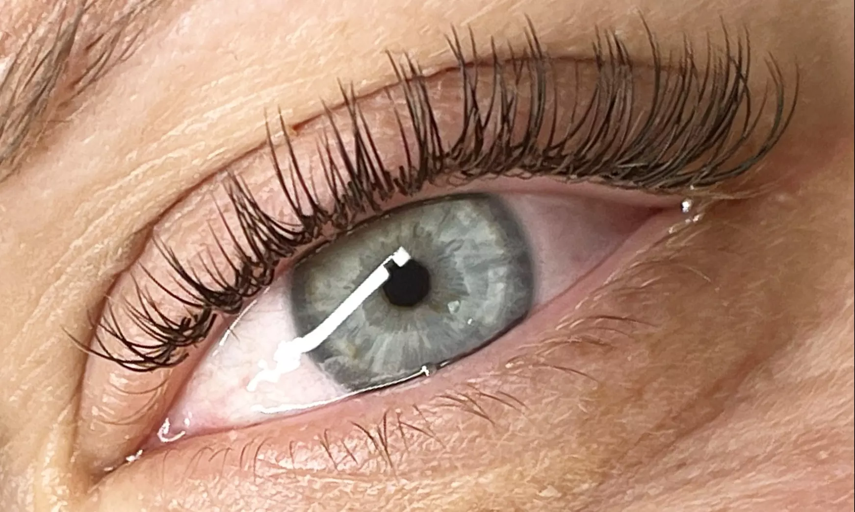 Wimpern- oder Augenbrauenlifting inkl. Färben für 1 Person (bis zu 38% sparen) - Primary Image