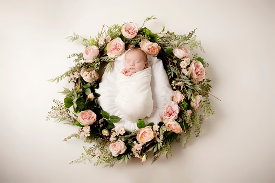 Groupon best sale newborn photoshoot