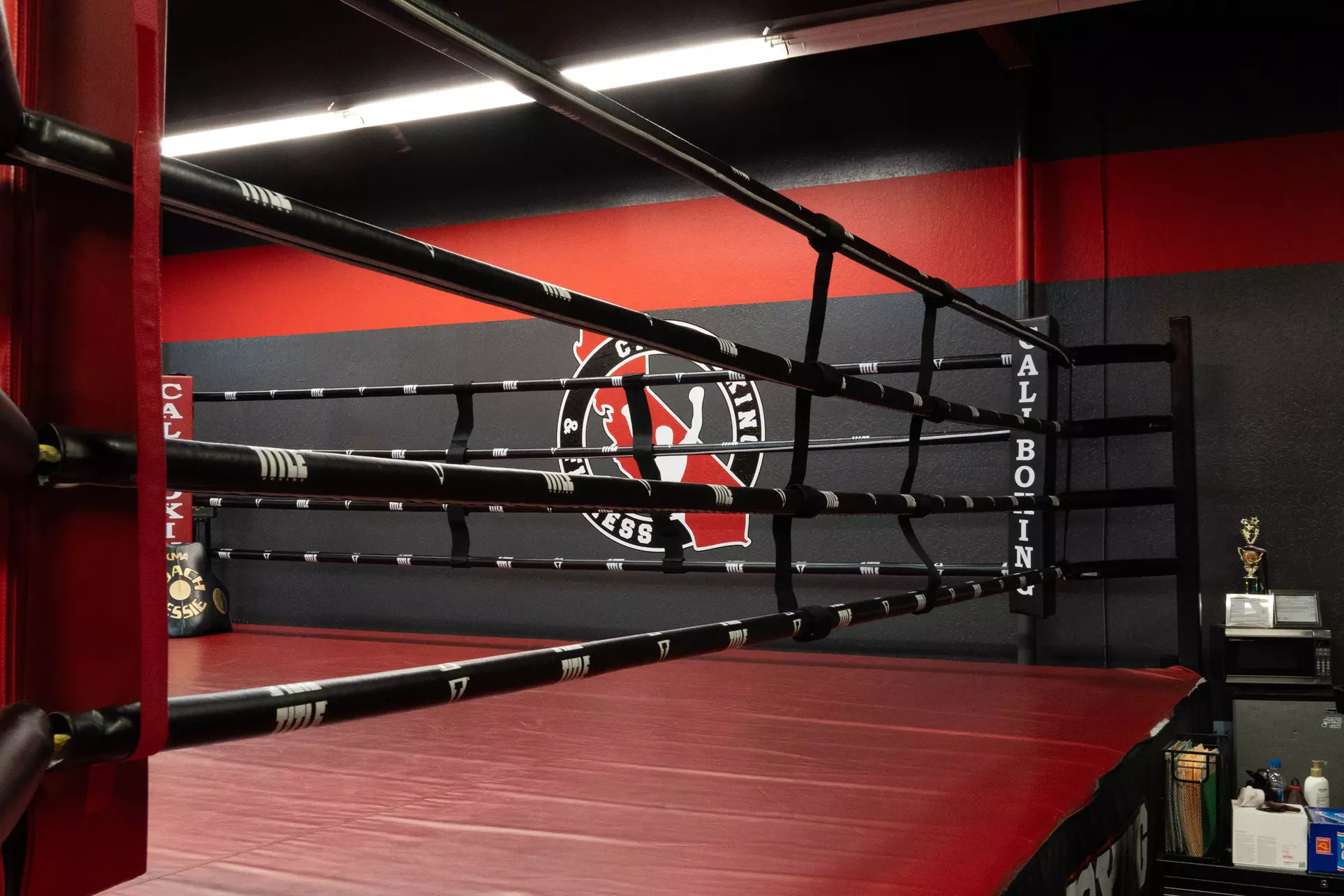 Boost Your Fitness with Two Weeks or One Month of Classes