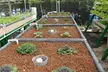 Hands‑On Urban Farm & Aquaponics Tour + Educational Laboratory: Small to Large Groups  (Up to 27% Off) - Second Medium