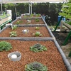 Image 3: Aquaponic & Garden Tour: Family (6), Club (7–12), or School Groups